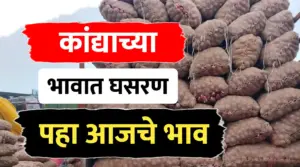 Onion rate ; कांदा भावात सुधारणा, पहा आजचे ताजे कांदा भाव