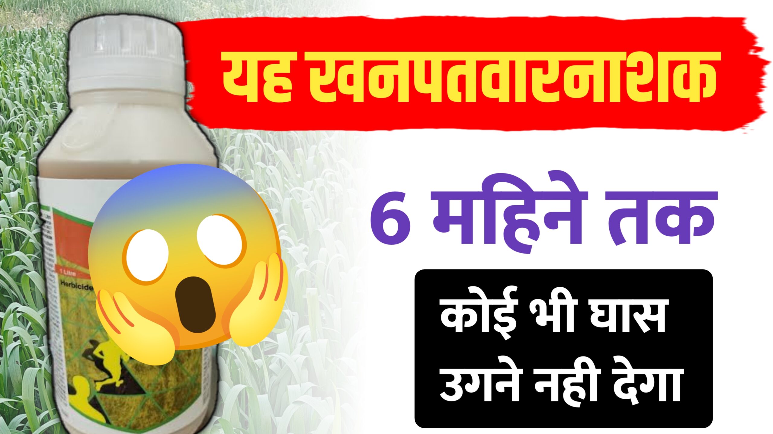 यह हर्बिसाइड एक स्प्रे