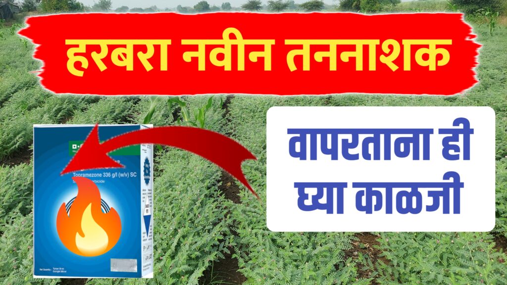 हरबरा नवीन तननाशक ; पहा फवारणी करताना काय काळजी घ्यावी